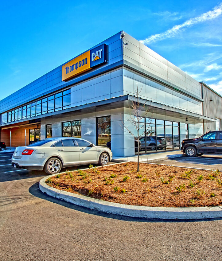 thompsoncat_featured